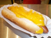 Cheese Dog